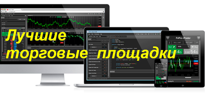 burst криптовалюта