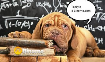Брокер бинарных опционов Binomo и его торговая платформа