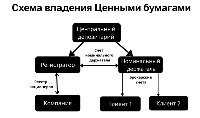 Знает ли компания о физических лицах-акционерах